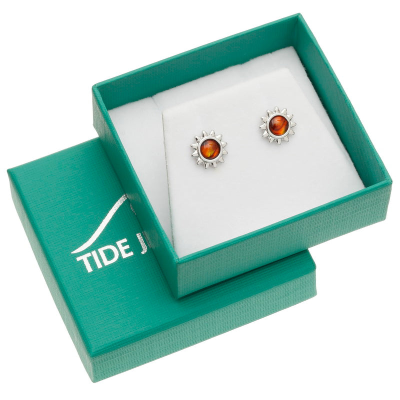 Amber Sun Paua Shell Earrings