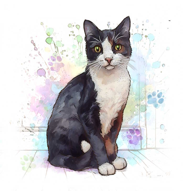 Black & White Cat Ceramic Art Tile - Art of Arora from thetraditionalgiftshop.com