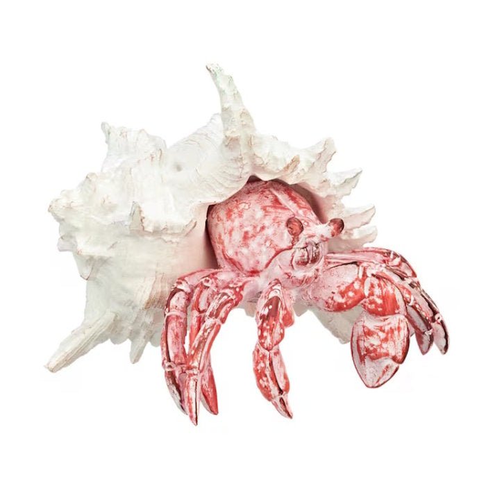 Coral Creatures - Hermit Crab - Coral Creatures from thetraditionalgiftshop.com