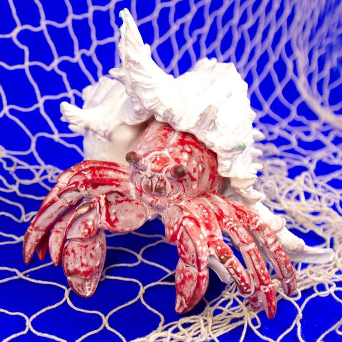 Coral Creatures - Hermit Crab - Coral Creatures from thetraditionalgiftshop.com
