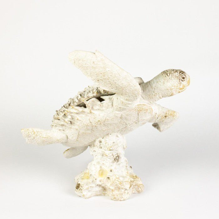 Coral Creatures - Turtle - Coral Creatures from thetraditionalgiftshop.com