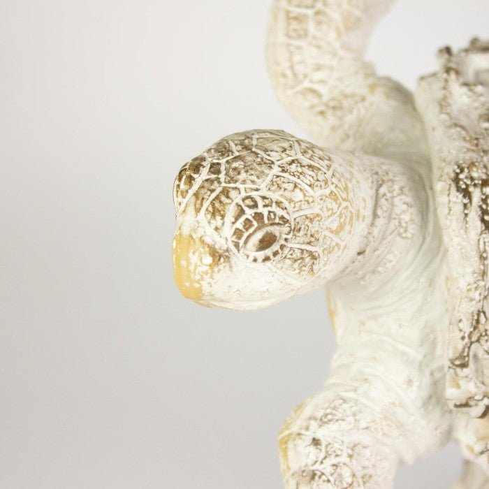 Coral Creatures - Turtle - Coral Creatures from thetraditionalgiftshop.com