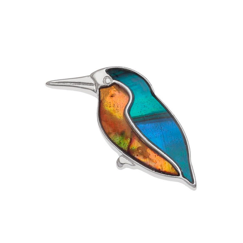 Kingfisher Paua Shell Pin Badge - Tide Jewellery from thetraditionalgiftshop.com