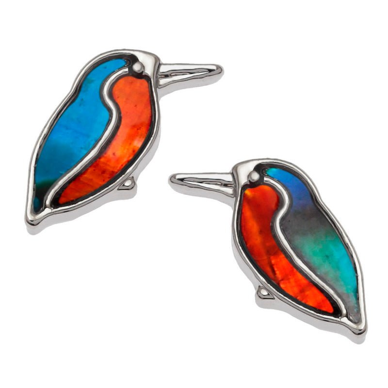 Kingfisher Paua Shell Stud Earrings - Tide Jewellery from thetraditionalgiftshop.com