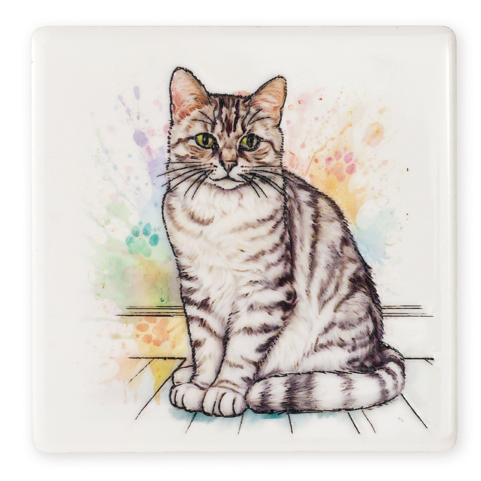 Silver Tabby Cat Ceramic Art Coaster - Art of Arora from thetraditionalgiftshop.com