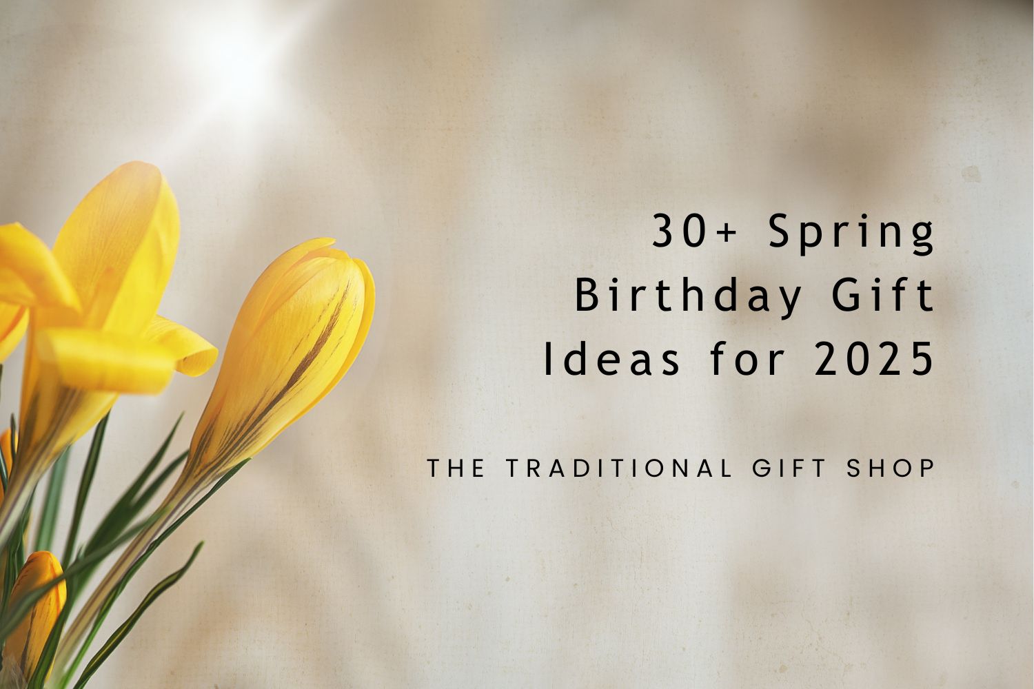30+ Spring Birthday Gift Ideas for 2025 | Perfect Presents in the UK - The Gift Shop (Oulton Broad)