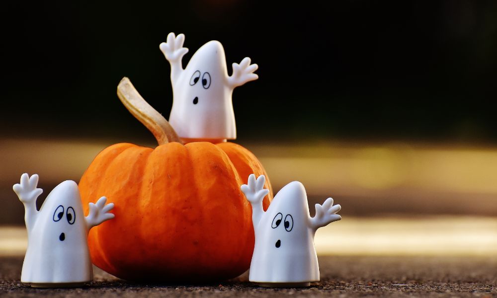Halloween Gift Ideas For Students - The Gift Shop (Oulton Broad)