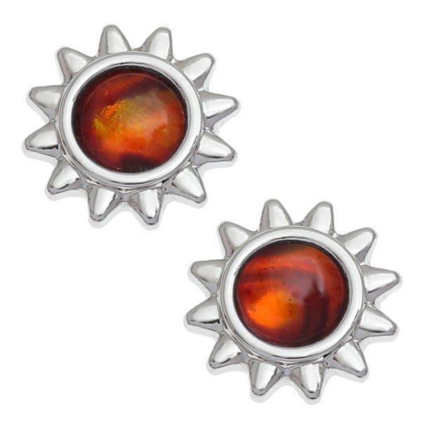 Amber Sun Paua Shell Earrings - Tide Jewellery from thetraditionalgiftshop.com