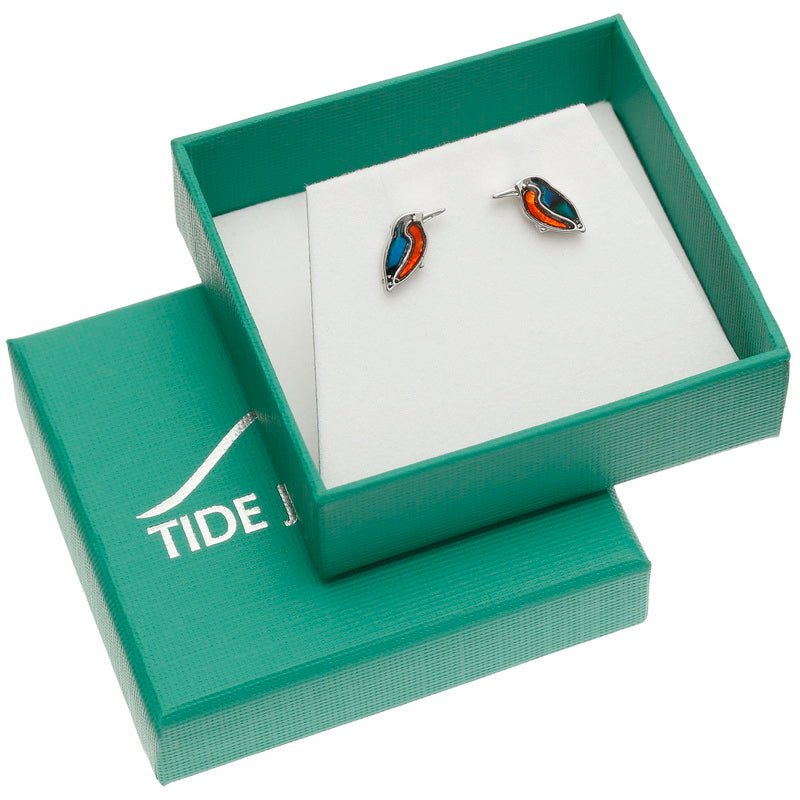 Kingfisher Paua Shell Stud Earrings - Tide Jewellery from thetraditionalgiftshop.com