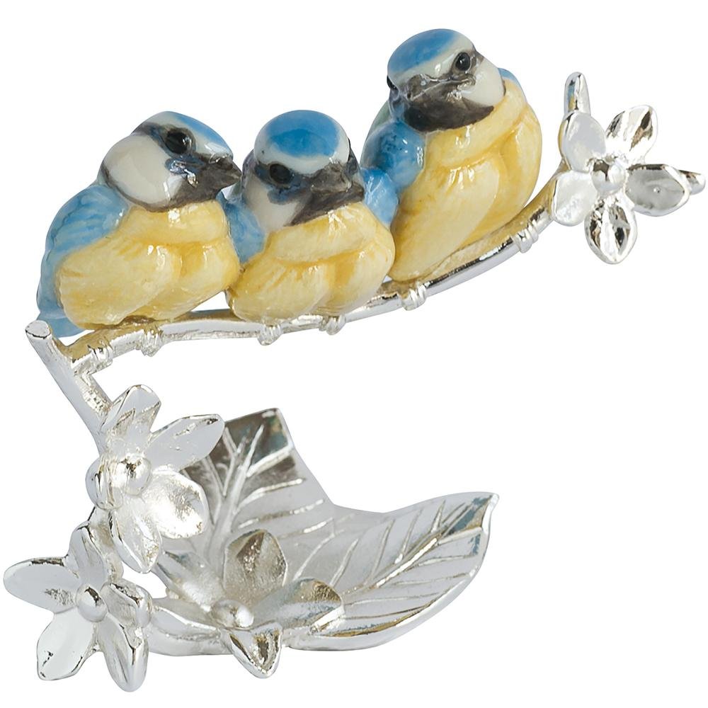 Blue Tit Chicks - Nature's Realms from thetraditionalgiftshop.com