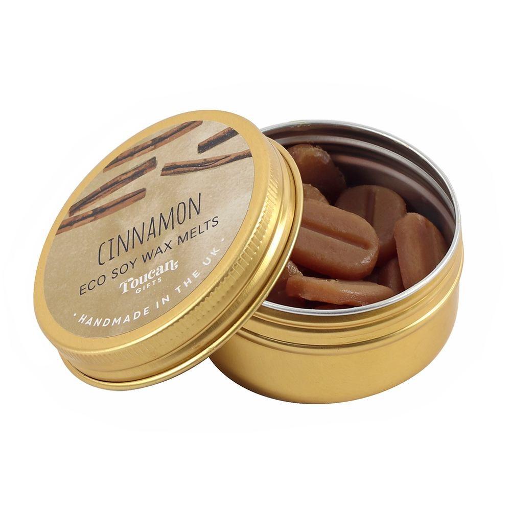 Cinnamon Eco Soy Wax Melts - Toucan Gifts Wax Melts from thetraditionalgiftshop.com