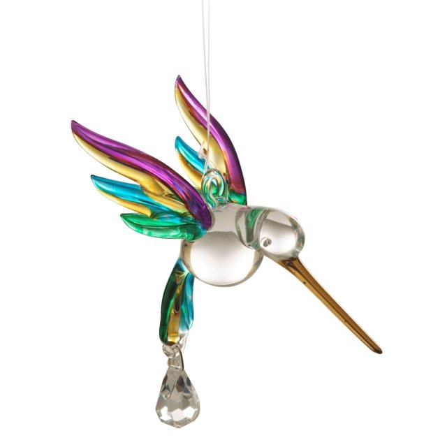 Fantasy Glass Hummingbird - Tropical