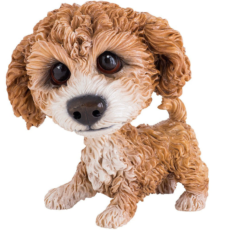 Molly - Cavachon - Little Paws from thetraditionalgiftshop.com